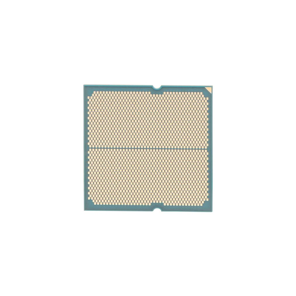 AMD Ryzen™ 5 8600G tray - processor